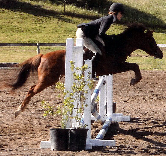 Glenhaven Peach Blossom